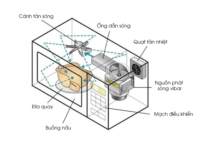 Nguyên lý hoạt động của lò vi sóng